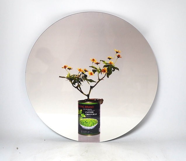 Edwin Roseno (Indonesian, b.1979), contemporary metallic photo print on plexiglass, green hypermarket series, Bunga Matahari Kecil Mini Sunflower, limited edition 5/5, with certificate of authenticity, signed by the arti